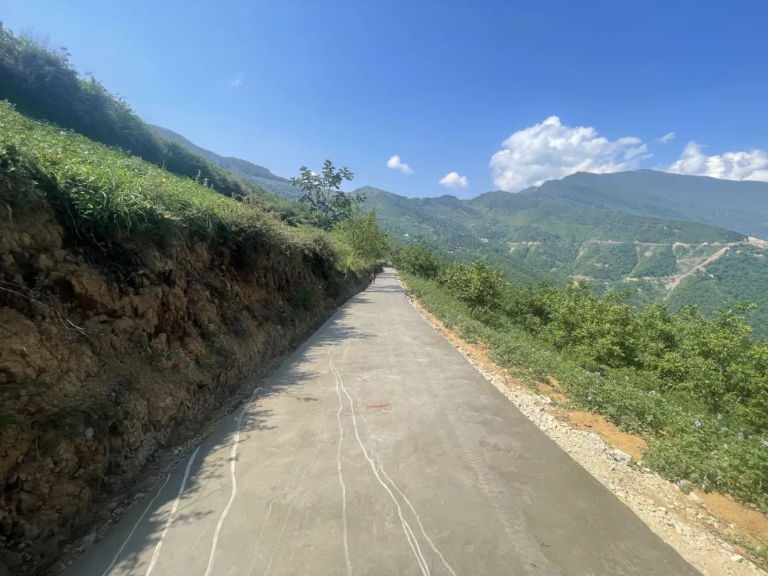 1691717554646024.jpg 640 (7).jpg