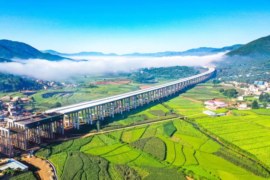 1691722949167615.jpg 0.3.jpg