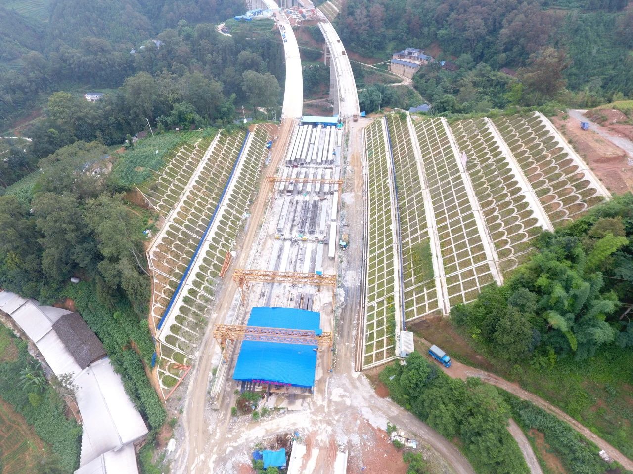 1720056489317223.jpg 1720056489317223.jpg